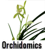 Orchidgenome.com